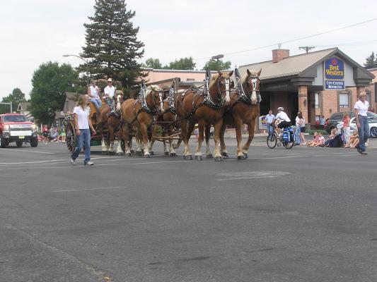 Sweet Pea Festival Parade. Horses