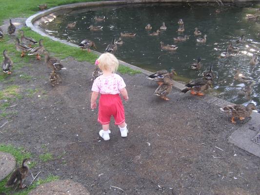 Sarah watches the ducks