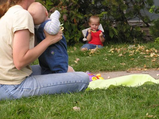 Playing on the lawn.