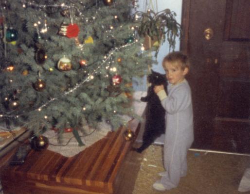 Matthew kitty 1986