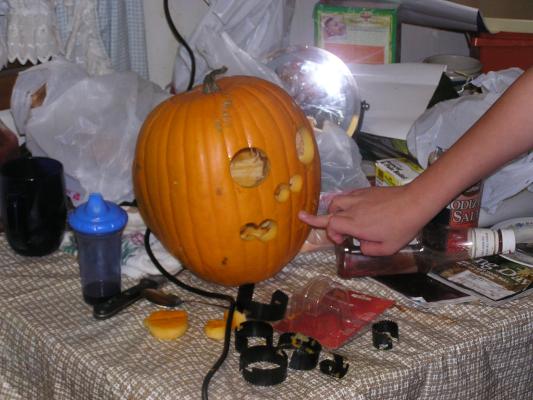 The pumpkin begins to take shape.