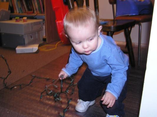 Noah helps with the Christmas lights.