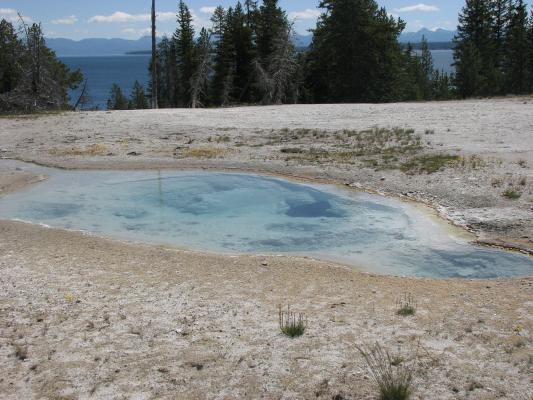 Hot springs in Yellowstone.