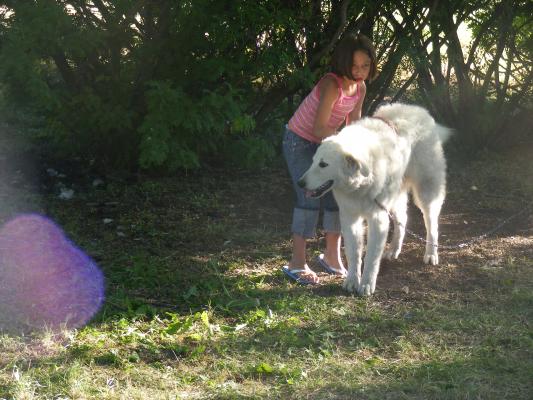 Andrea with big white dog.