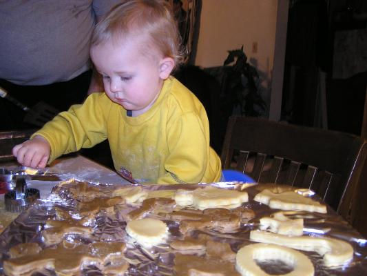 Noah helped cut out lots of cookies.