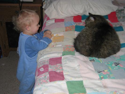 Noah and the kitty