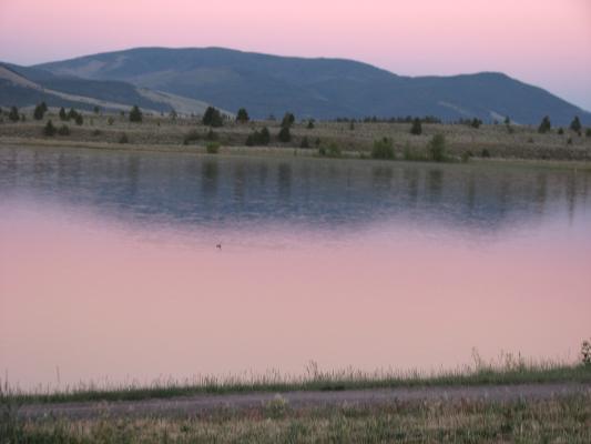 Browns Lake 2008