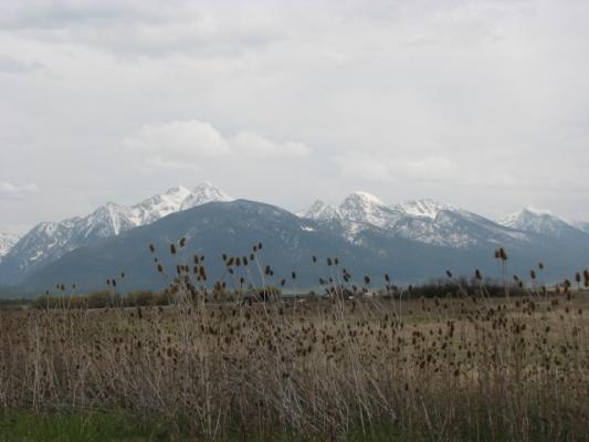 Mountains 2008