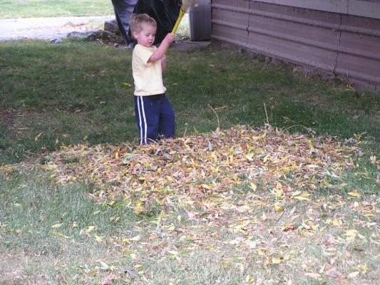 Noah plays with the pile of leaves.