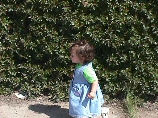 Malia walking by the bushes