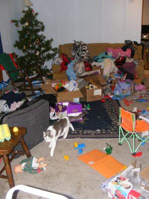 This is what it looked like after I carried all the stuff in from Christmas in Nebraska and everyone opened gifts from our family in Montana.