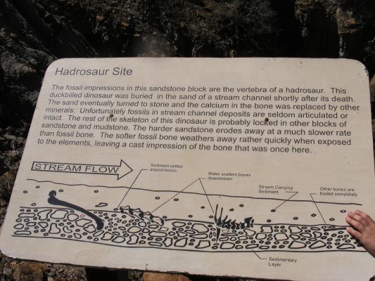 Hardrosaur Site.