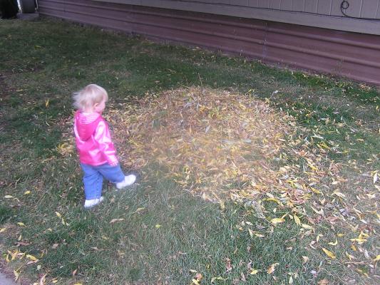 Sarah plays with the pile of leaves.