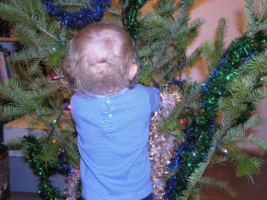 Noah puts ornaments way in there.