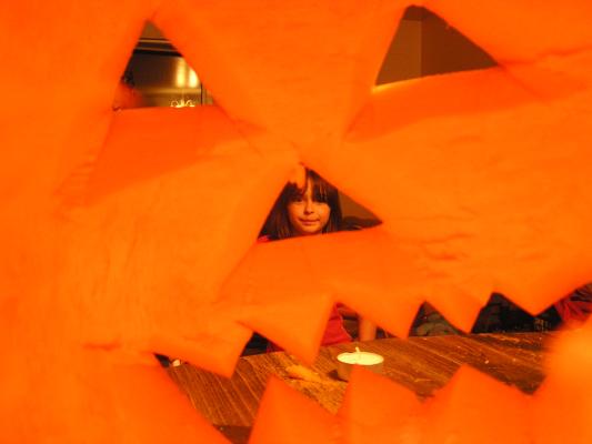 Malia, from the pumpkin's point of view.