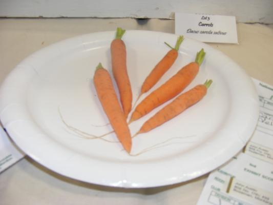 Carrots at the fair