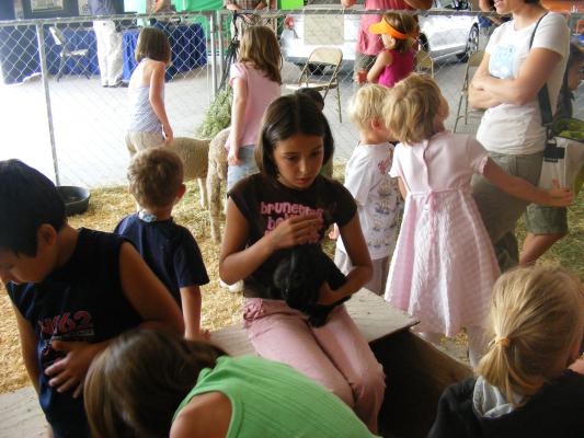 Malia hold a bunnie at the Fair.