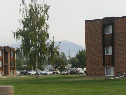 Married Student Housing at the University.
You can still see the smoke in the air,
but the mountains have partially returned.