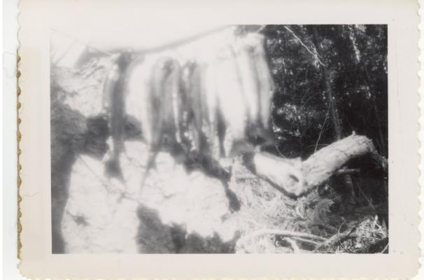 Pend Orelle Flood 1948