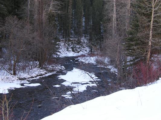 Hyalite creek.
