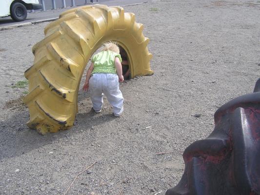 Sarah found Noah in a tire at the park.