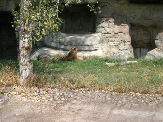 Zoo Montana 2006