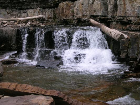 Ousel Falls 2008