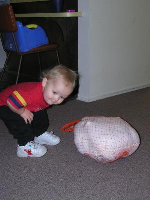 I think this turkey is too heavy.
