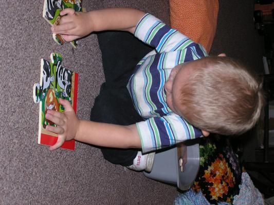 Noah is good at puzzels. He is trying to put some cows together.