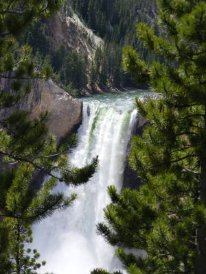 Yellowstone Falls.