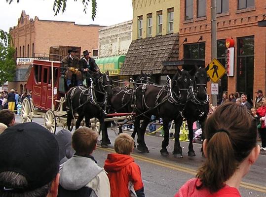 Horse drawn wagon in the Belgrade Parade