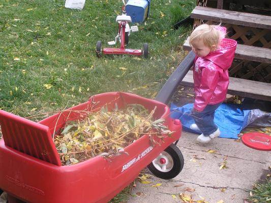Sarah plays with leaves in the wagon.