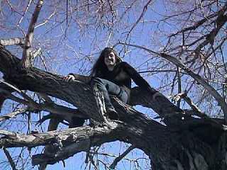 Rachael in a tree