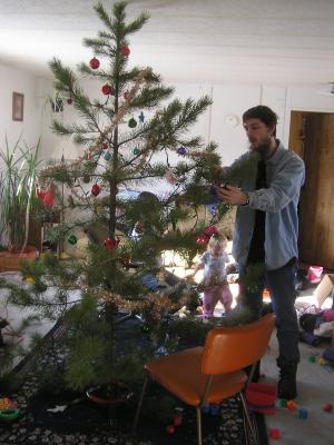 David decorates the tree