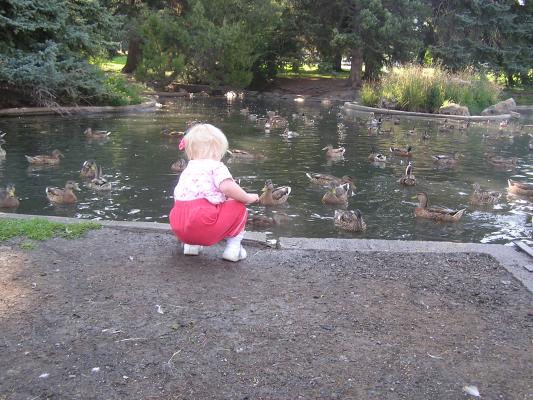 Sarah watches the ducks