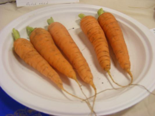 Carrots at the fair.