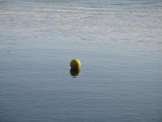 There's the volleyball.
Someone eventually got a boat to retrieve it.