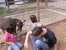 The kids enjoy the goats at Zoo Montana. thumb