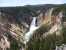 Yellowstone Falls. thumb