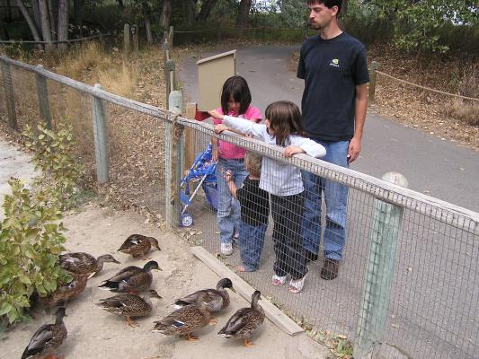 The kids feed the ducks at Zoo Montana.