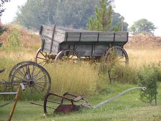 Old wagon at Zoo Montana.
