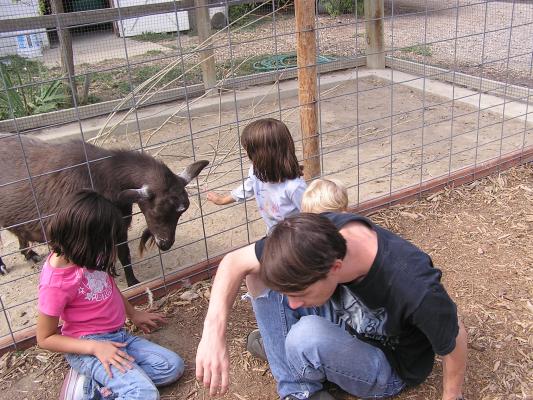 The kids enjoy the goats at Zoo Montana.