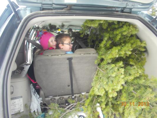 Noah and Sarah with the Christmas tree in the car.