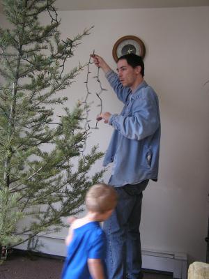 David and Noah put lights on the tree.