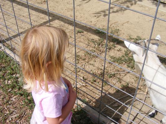 Sarah with a white goat.