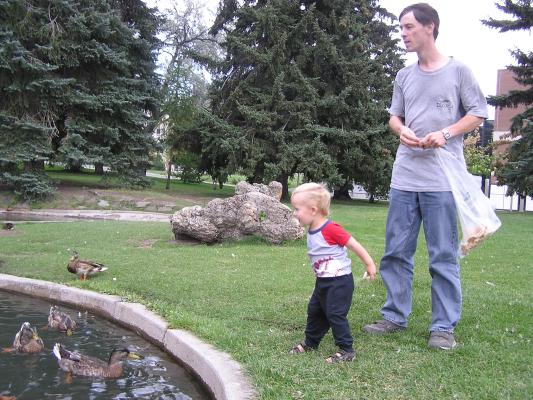 Noah and David feed the university water fowl.