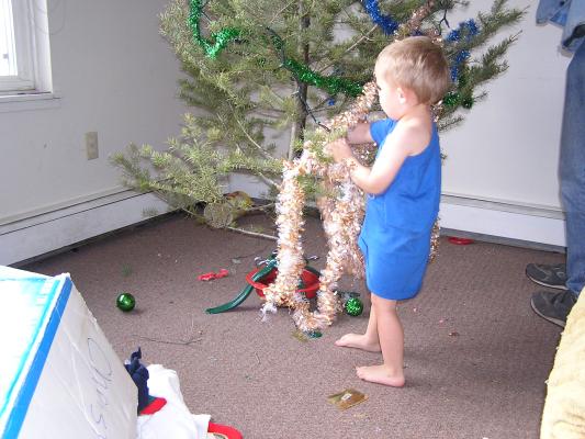 Noah and David put garland on the tree.