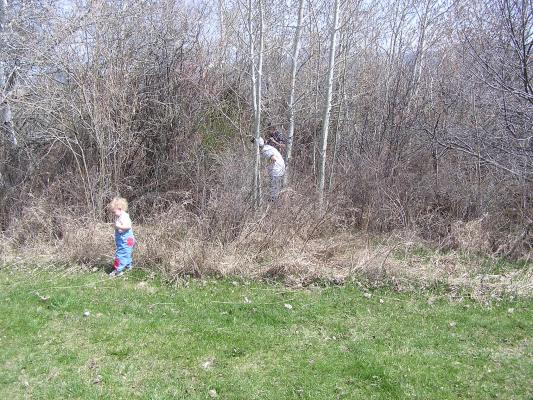 Noah stops to investigate the tall grass.
