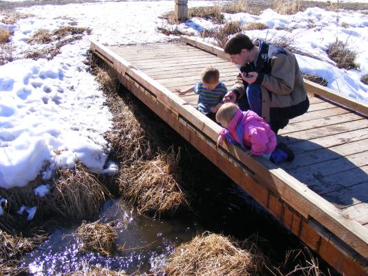 Noah, David and Sarah play on a bridge over a creek.