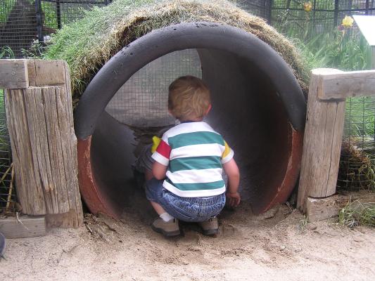 Noah looks in the badger's tunnel
